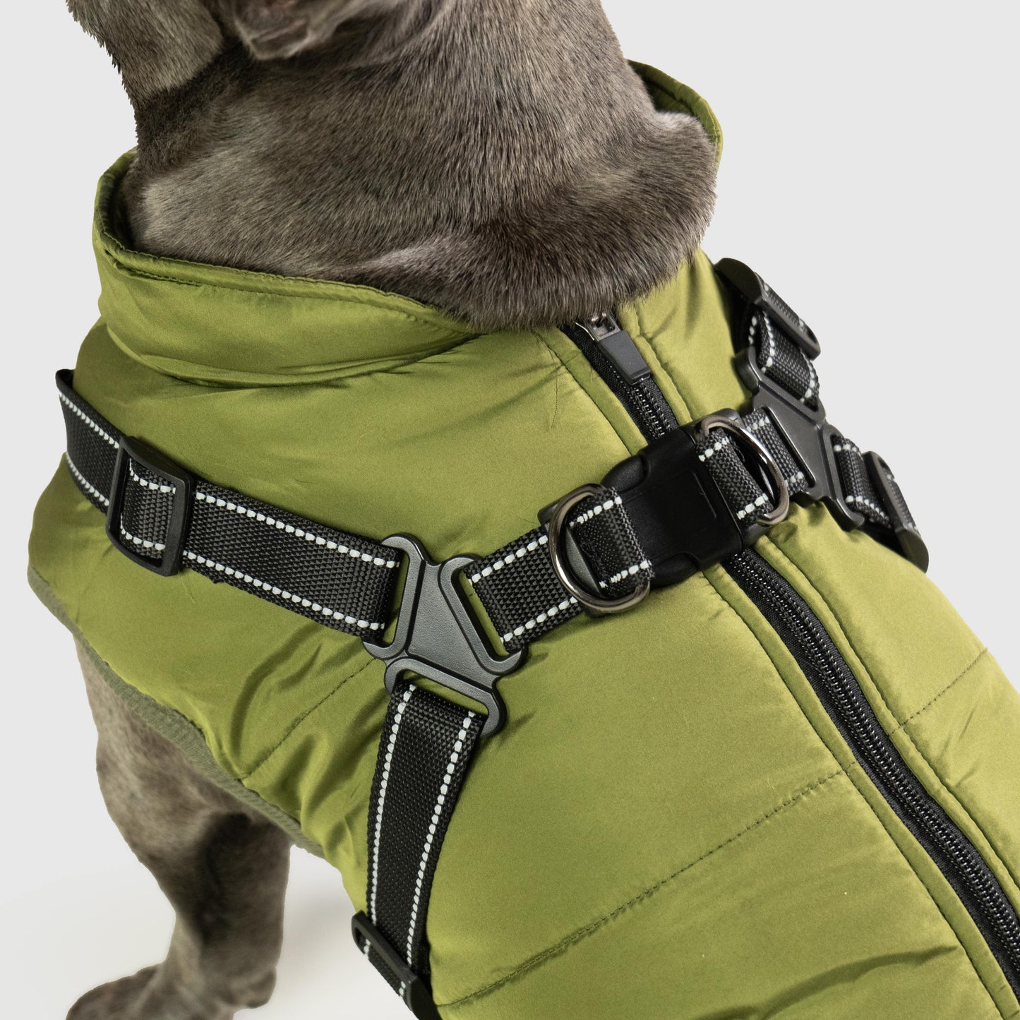 Pawlo