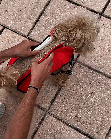 Pawlo