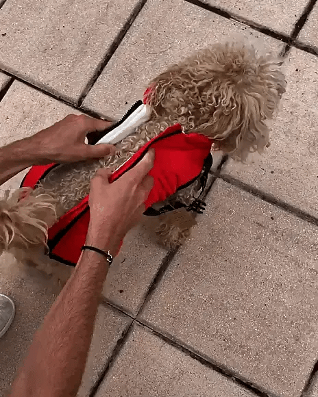 Pawlo